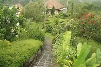 Ubud Green View Villas