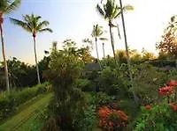 Ubud Green View Villas